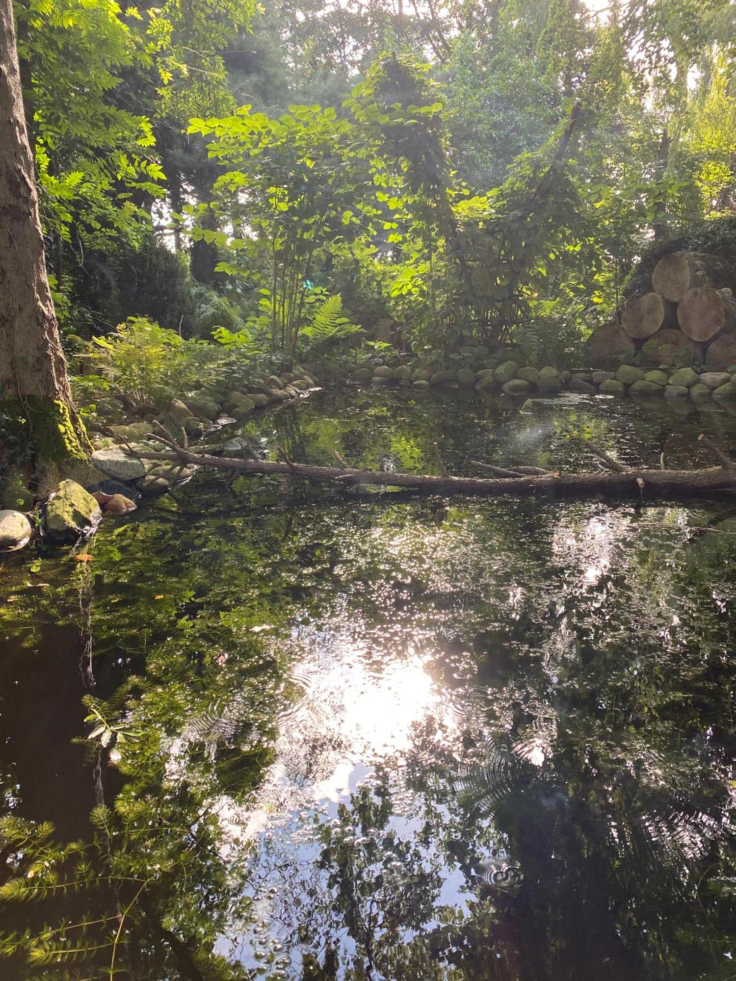 Ferienwohnung Auf Einem Resthof Zentral Gelegen Mit Viel Natur Und Tieren Rendswuhren Exterior foto