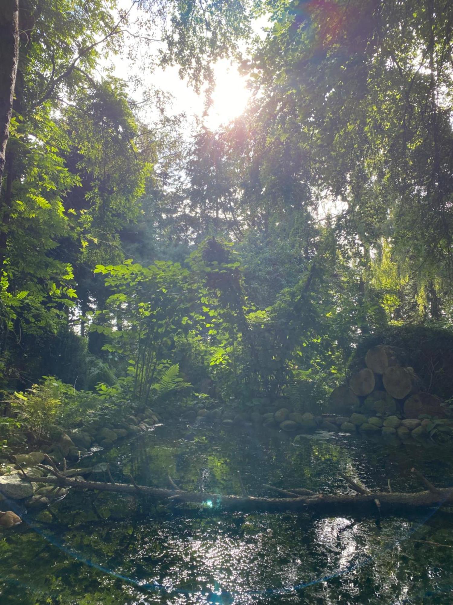 Ferienwohnung Auf Einem Resthof Zentral Gelegen Mit Viel Natur Und Tieren Rendswuhren Exterior foto